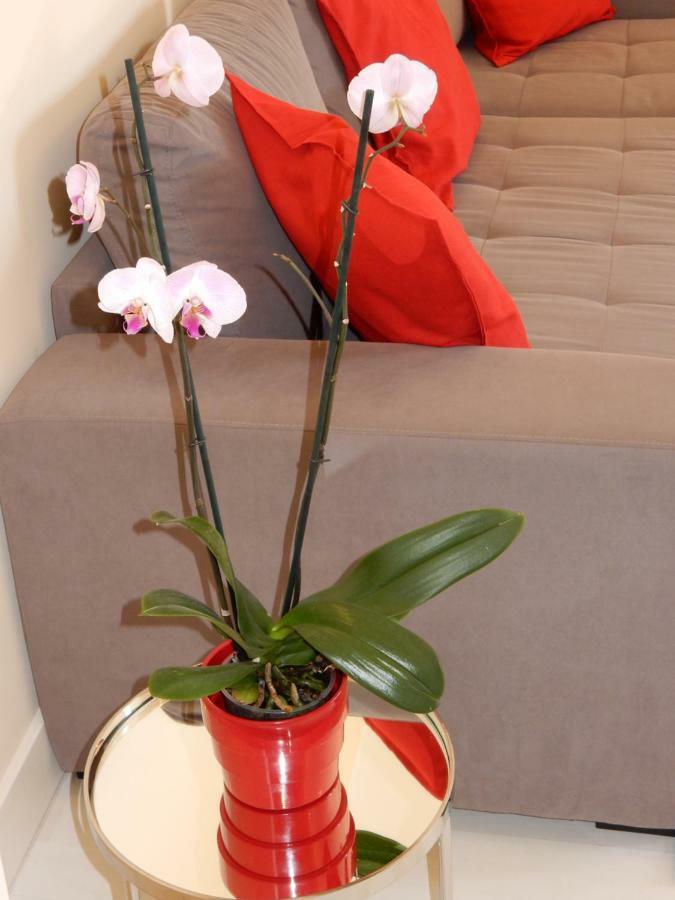 Beach & Sea Apt, Fast Wifi, Airco, Private Parking And Pool ปอร์ติเมา ภายนอก รูปภาพ